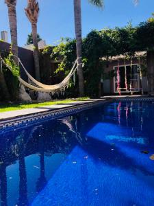 a swimming pool with a hammock and palm trees at Cool clima in Olivos
