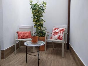 Posezení v ubytování Alojamientos rurales Arbonaida