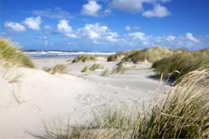 una playa con dunas de arena, césped y océano en Ballumerhoeve Petit lodge, en Ballum