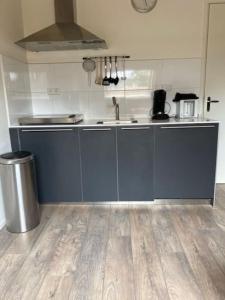 a kitchen with blue cabinets and a trash can at Ballumerhoeve Petit lodge in Ballum