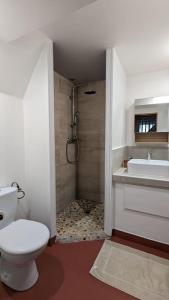 La salle de bains est pourvue de toilettes, d'un lavabo et d'une douche. dans l'établissement Maison de village avec garage, à Aigues-Mortes
