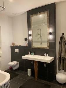 a bathroom with a sink and a toilet and a mirror at inn Venlo Apartment in Venlo