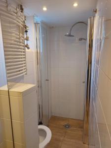 a bathroom with a toilet and a glass shower at Zomerhuis Tuls in Egmond aan Zee
