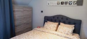 1 dormitorio con 1 cama con cabecero azul y almohadas en Studio "Coeur du Lac" en Vielsalm