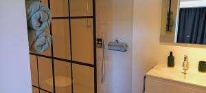 een badkamer met een douche en een wastafel bij Studio "Coeur du Lac" in Vielsalm