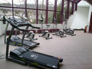 Fitness centrum a/nebo fitness zařízení v ubytování Family Hotel Schloss Rosenegg