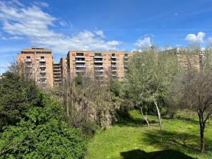 a large building in the distance with a field and trees at Davide Rome Apartment in Rome