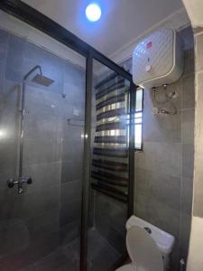 ein Bad mit einem WC und einer Glasdusche in der Unterkunft Keduu beautiful luxury apartment lekki in Lagos