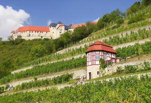 a building on the side of a hill with vines at Ferienhaus Herztor in Bad Bibra