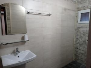 un bagno con lavandino, specchio e doccia di Casa Anda ad Azuga Altre 33 foto