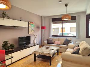 salon z kanapą i telewizorem w obiekcie Amplio y Moderno Apartamento Lorenzo Ferreira w Kordobie