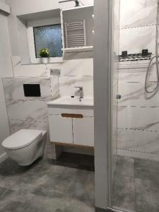 La salle de bains blanche est pourvue de toilettes et d'un lavabo. dans l'établissement Przytulny Zakątek, à Żerniki Wroctawskie