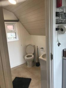 a small bathroom with a toilet and a sink at Bumble Bee Cottage in Plymouth