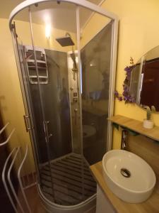 a bathroom with a shower and a sink at Le violet in Gaillac