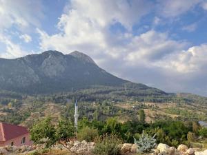 Splošen pogled na gorovje oz. razgled na gore, ki ga ponuja brunarica