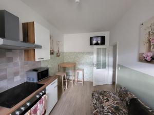 a small kitchen with a table and chairs in it at Heine`s Hof in Oschersleben