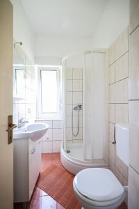 a bathroom with a shower and a toilet and a sink at Apartments Marina in Petrcane
