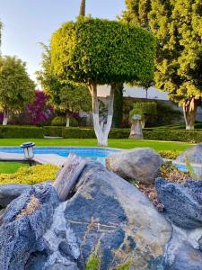 un jardín con rocas, un árbol y una piscina en La Pedrera Atlixco, 