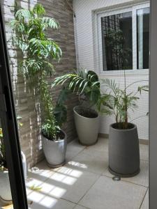 tres plantas en maceta están sentadas en un porche en Résidence La Renaissance de Dakar, en Ouakam