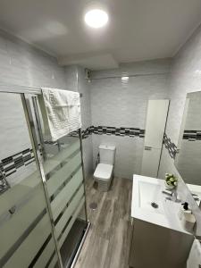 uma casa de banho com um WC, um lavatório e um chuveiro em AYALA APARTAMENTO em Málaga