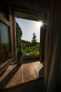 eine Flasche Wein auf einem Fensterbrett in der Unterkunft Agriturismo La Colombella in Bagni San Filippo