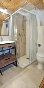 a bathroom with a shower and a toilet and a sink at L'antico Maso in Mendola