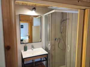 a bathroom with a sink and a shower at L'antico Maso in Mendola