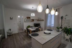 cocina y sala de estar con isla en una habitación en Appartement T3 en villa, en Hendaya