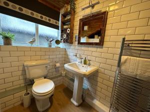a bathroom with a toilet and a sink at Bakestones - Central Location with Free Integral Private Parking in Ambleside +4 photos