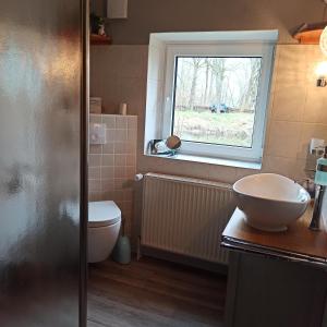 a bathroom with a sink and a toilet and a window at Zum Froschteich in Damnatz +28 photos