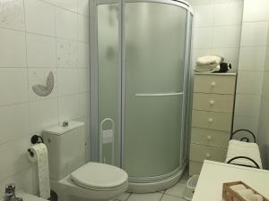 a bathroom with a shower and a toilet in it at La casa del bosco in Aosta +24 photos