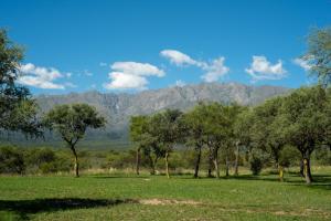 un campo con alberi e montagne sullo sfondo di Brisas de Chacras a San Javier