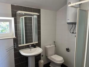 a small bathroom with a toilet and a sink at Apartman Maja in Selce +39 photos