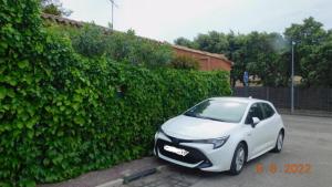 a white car parked in front of a hedge at la garrigue in Villeneuve-lès-Avignon +1 photo