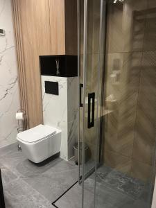 a bathroom with a toilet and a shower at AMSTERDAM - nowy apartament w centrum z prywatnym zadaszonym parkingiem in Nowy Targ