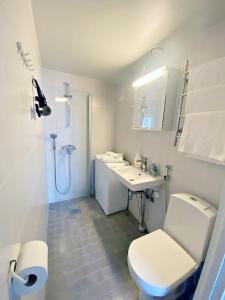a bathroom with a toilet and a sink and a shower at Scandinavian Sweet home 30 Työmiehenkatu 2 in Helsinki