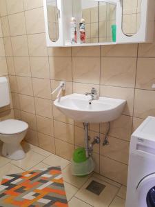 Koupelna v ubytování Apartments Igor