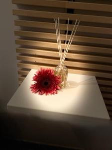 a red flower in a vase on a table at Antonella home b&b in Bari