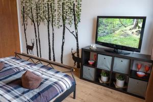 TV a/nebo společenská místnost v ubytování Ferienwohnung Hertreiter in Dingolfing 110qm
