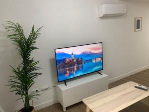 Televízia a/alebo spoločenská miestnosť v ubytovaní Apartamento Central E