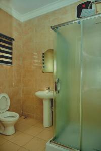 a bathroom with a shower and a toilet and a sink at Mainstream Shortlet Apartment Ltd in Gbogije