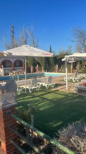 a pool with white chairs and an umbrella and a swimming pool at VILLA CUQUI in Antequera