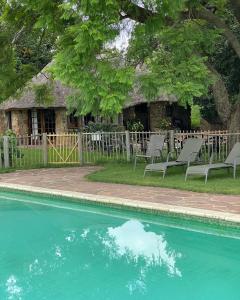 une maison avec des chaises à côté d'une piscine dans l'établissement Waterberg Cottages, Private Game Reserve, à Vaalwater