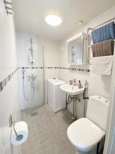 y baño con aseo, lavabo y ducha. en Scandinavian Modern home 34 1BR City Center in Kamppi Työmiehenkatu, en Helsinki