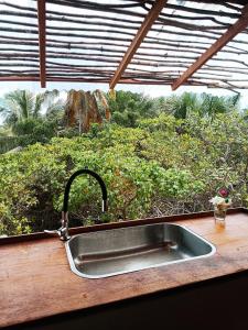 a kitchen sink with a view of a garden at Alto Amor in Atins