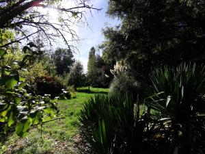 a garden with grass and plants and trees at Le Clos Verdonnais in Verdon