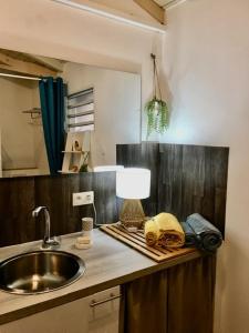 une cuisine avec un évier et une lampe sur un comptoir dans l'établissement Villa avec piscine privée, à Saint-François