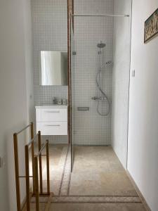 a bathroom with a shower and a sink at Haus Charlotte in Papstdorf
