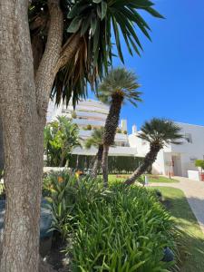 Zahrada ubytování Impeccable large apartment with immense terrace and private garden overlooking the mountain, featuring 2 bedrooms and sleeping up to 4 guests located 100 meters from Plaza Maestranza