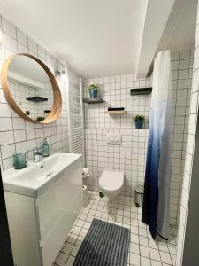 La salle de bains est pourvue d'un lavabo, de toilettes et d'un miroir. dans l'établissement Design Gallery INBP07 Studio Apartment #freeparking, à Budapest